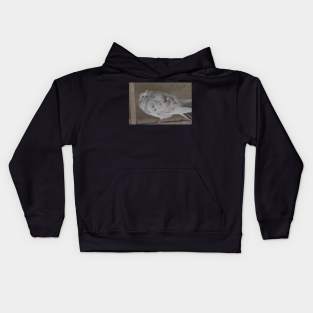 Pigeon Kids Hoodie